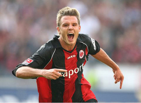 但这也许是 但这也许是