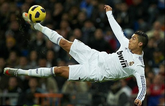 奪冠軍榮譽 奪冠軍榮譽